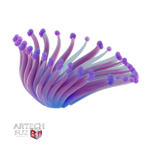 The Urchin 2
