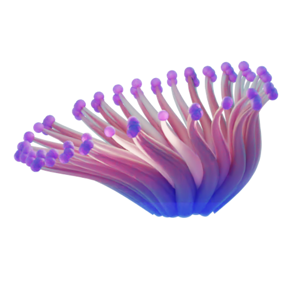 Urchin Hero Image for ArtechFuz3D